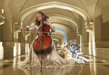 The Cellist By Meredith Day