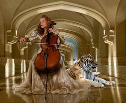 cellist_sm